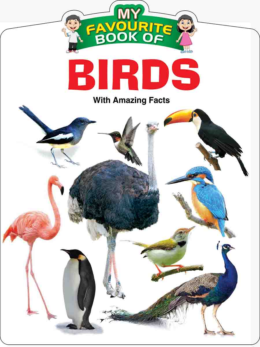 Birds