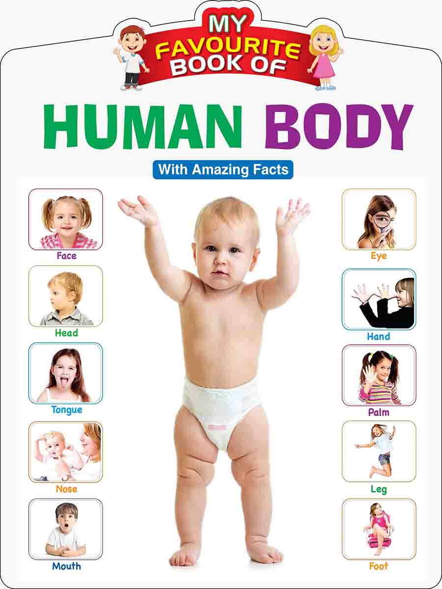 Human Body