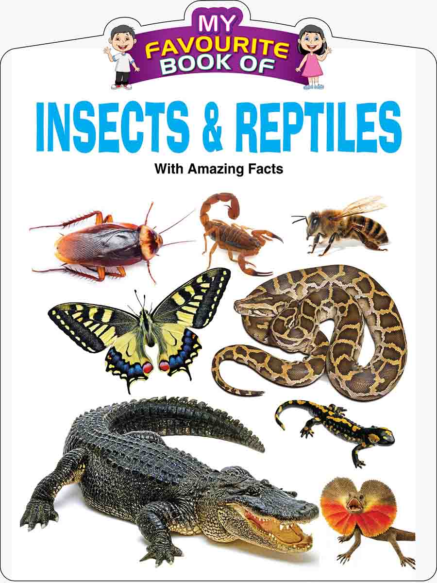 Insects & Reptiles