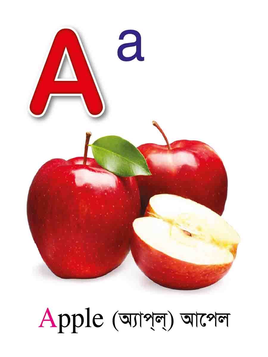 ৩৮টি বইয়ের জ্ঞানবাক্স preview 4