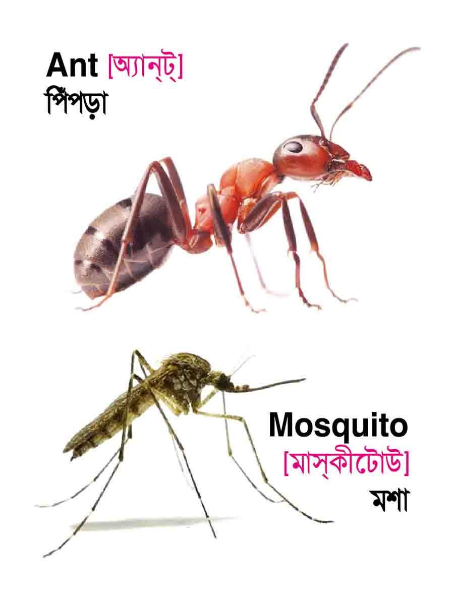 ৩৮টি বইয়ের জ্ঞানবাক্স preview 44