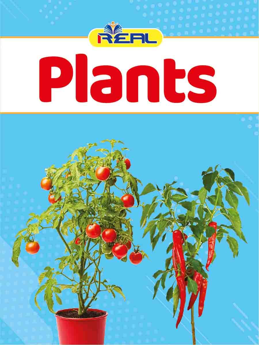 ৩৮টি বইয়ের জ্ঞানবাক্স preview 49