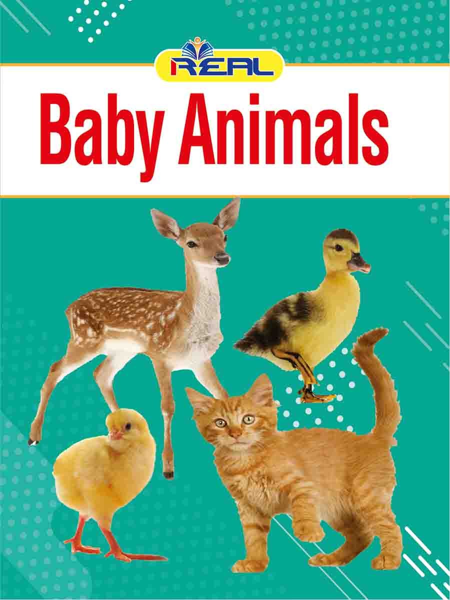 ৩৮টি বইয়ের জ্ঞানবাক্স preview 65