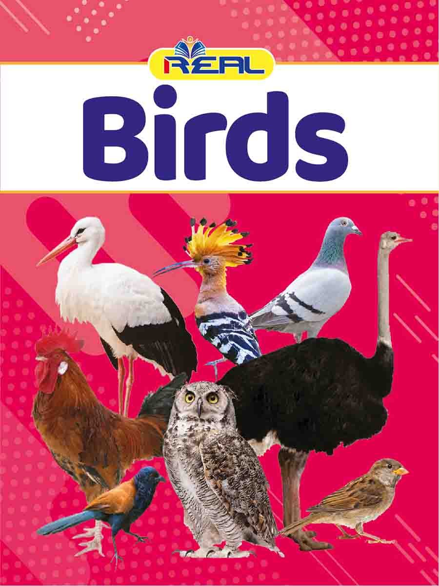 ৩৪টি বইয়ের জ্ঞানবাক্স preview 23