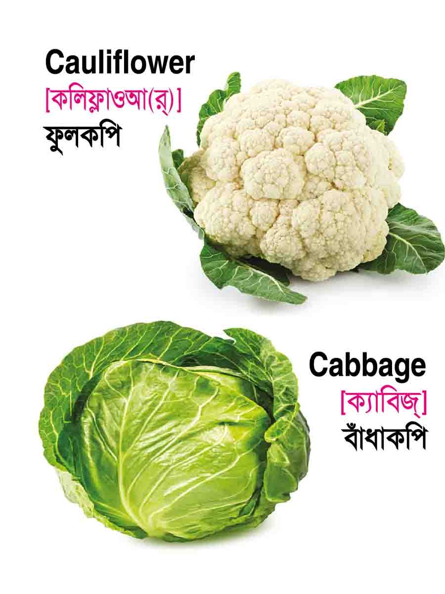 ৩৪টি বইয়ের জ্ঞানবাক্স preview 46