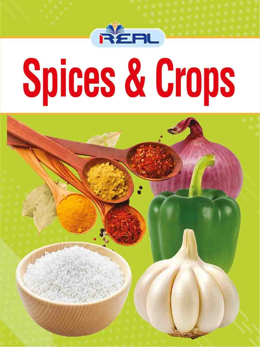 ৩৪টি বইয়ের জ্ঞানবাক্স preview 53