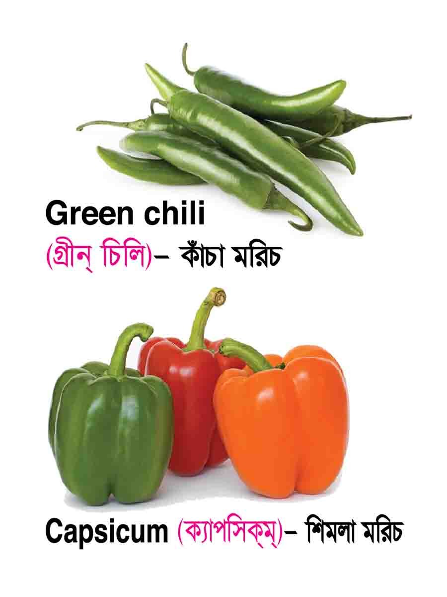 ৩৪টি বইয়ের জ্ঞানবাক্স preview 54