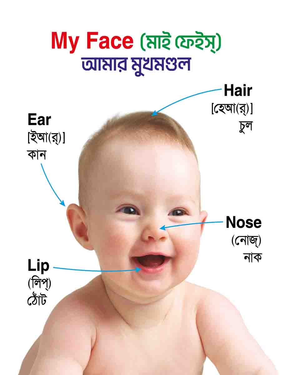 ২৮টি বইয়ের জ্ঞানবাক্স preview 32