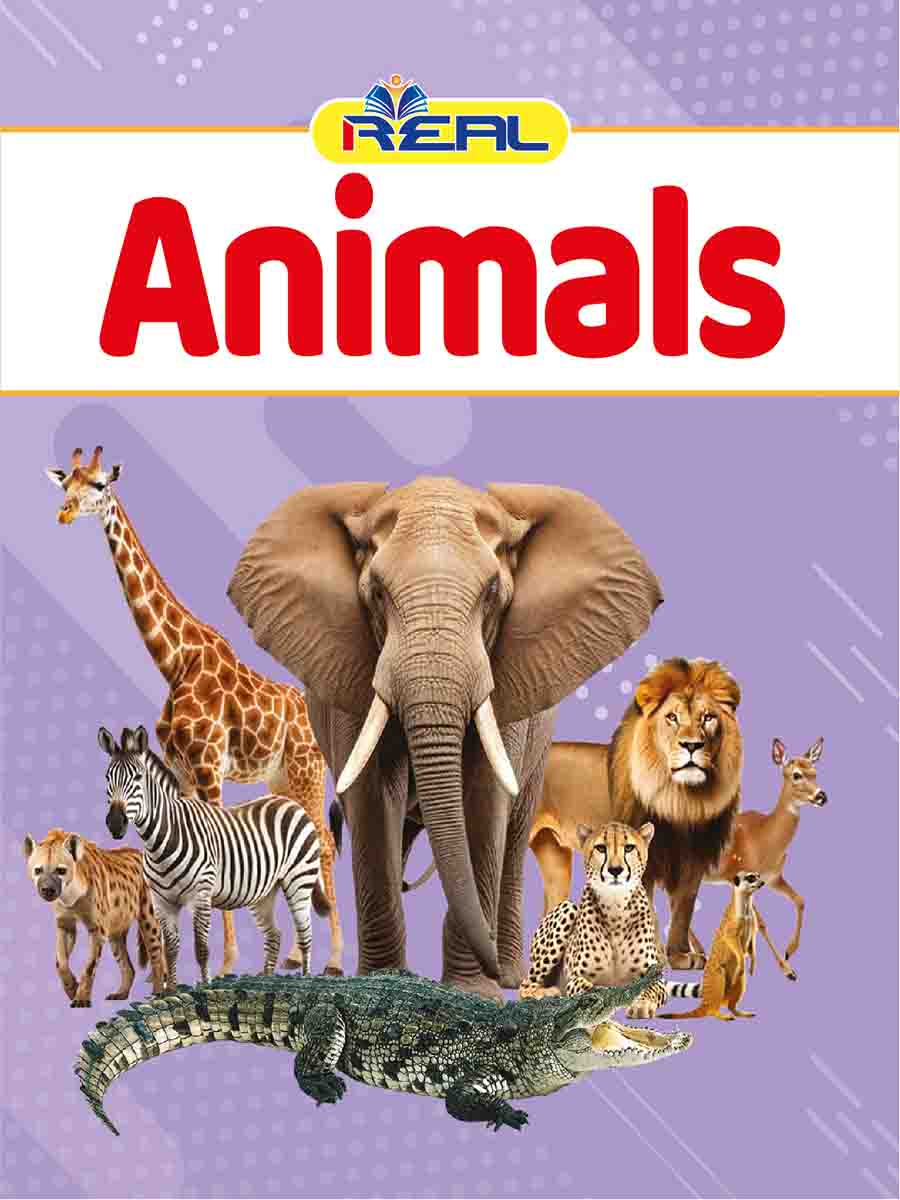 ২৬টি বইয়ের জ্ঞানবাক্স preview 15