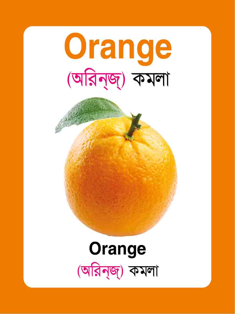 ২৬টি বইয়ের জ্ঞানবাক্স preview 30