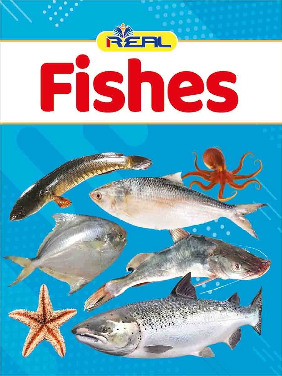 ২২টি বইয়ের জ্ঞানবাক্স preview 19