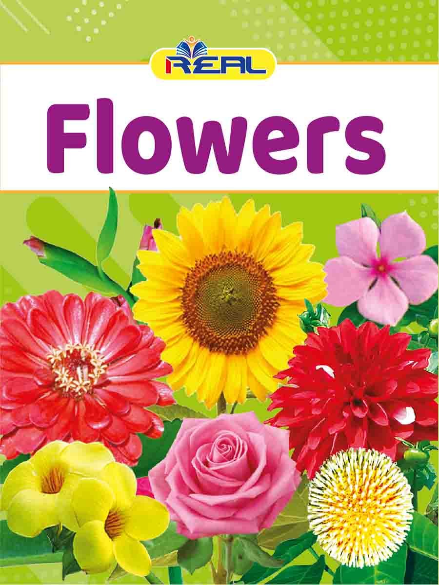 ১২টি বইয়ের জ্ঞানবাক্স preview 17