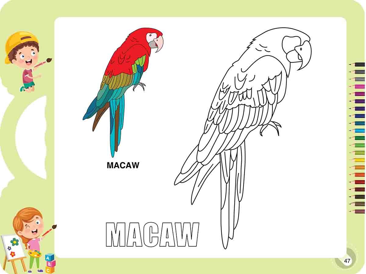 কালারিং বুক ২ preview 3