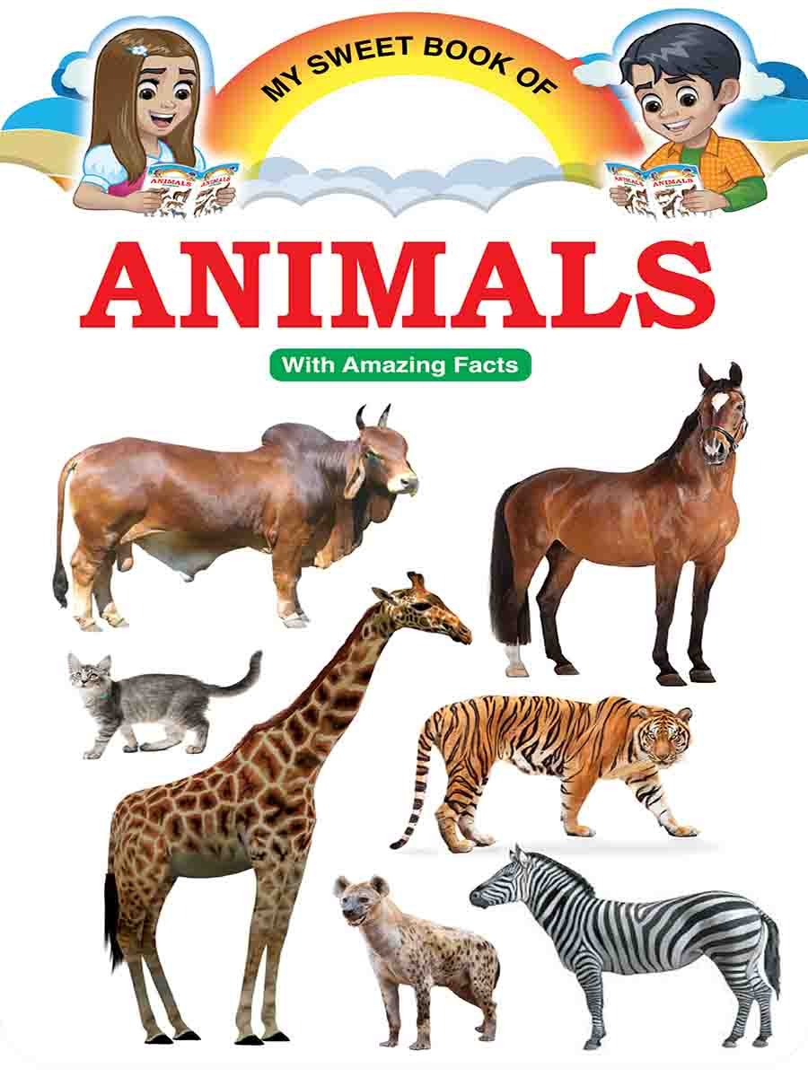 Picture Word Book Series preview 1