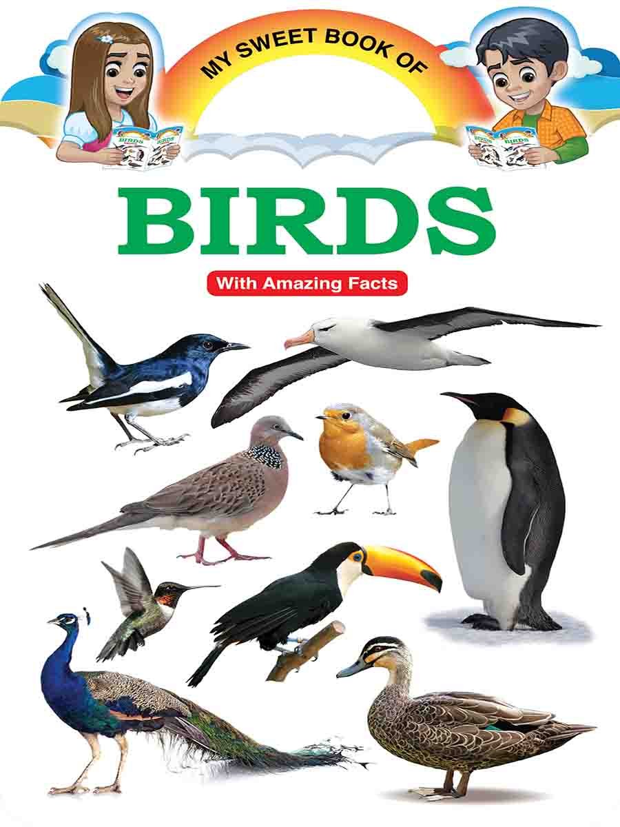 Picture Word Book Series preview 3