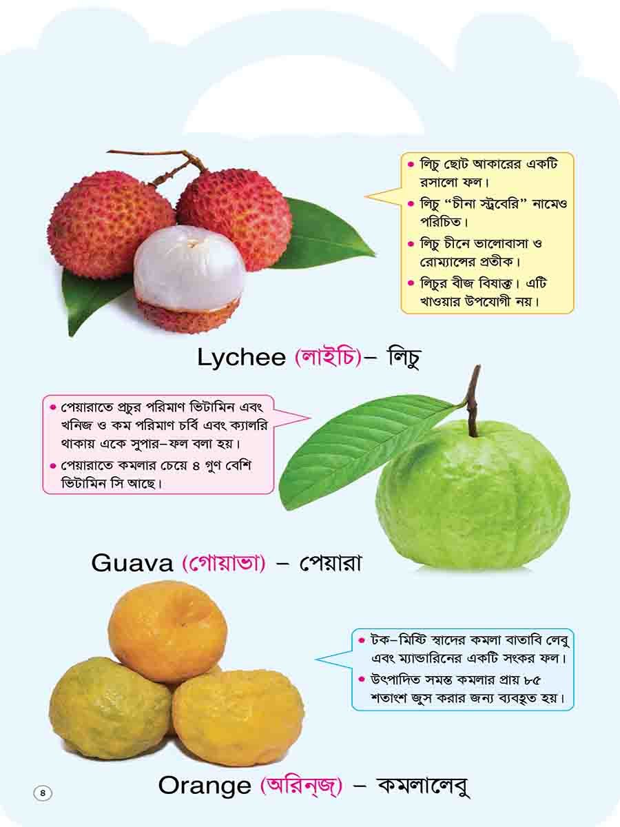 Picture Word Book Series preview 10