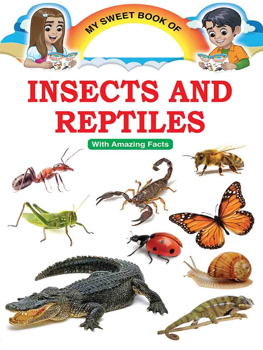 Picture Word Book Series preview 13