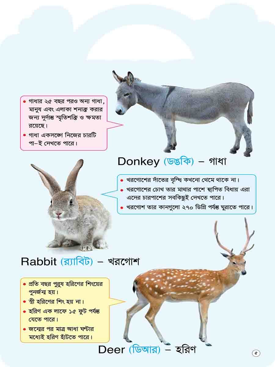 Picture Word Book Series preview 2