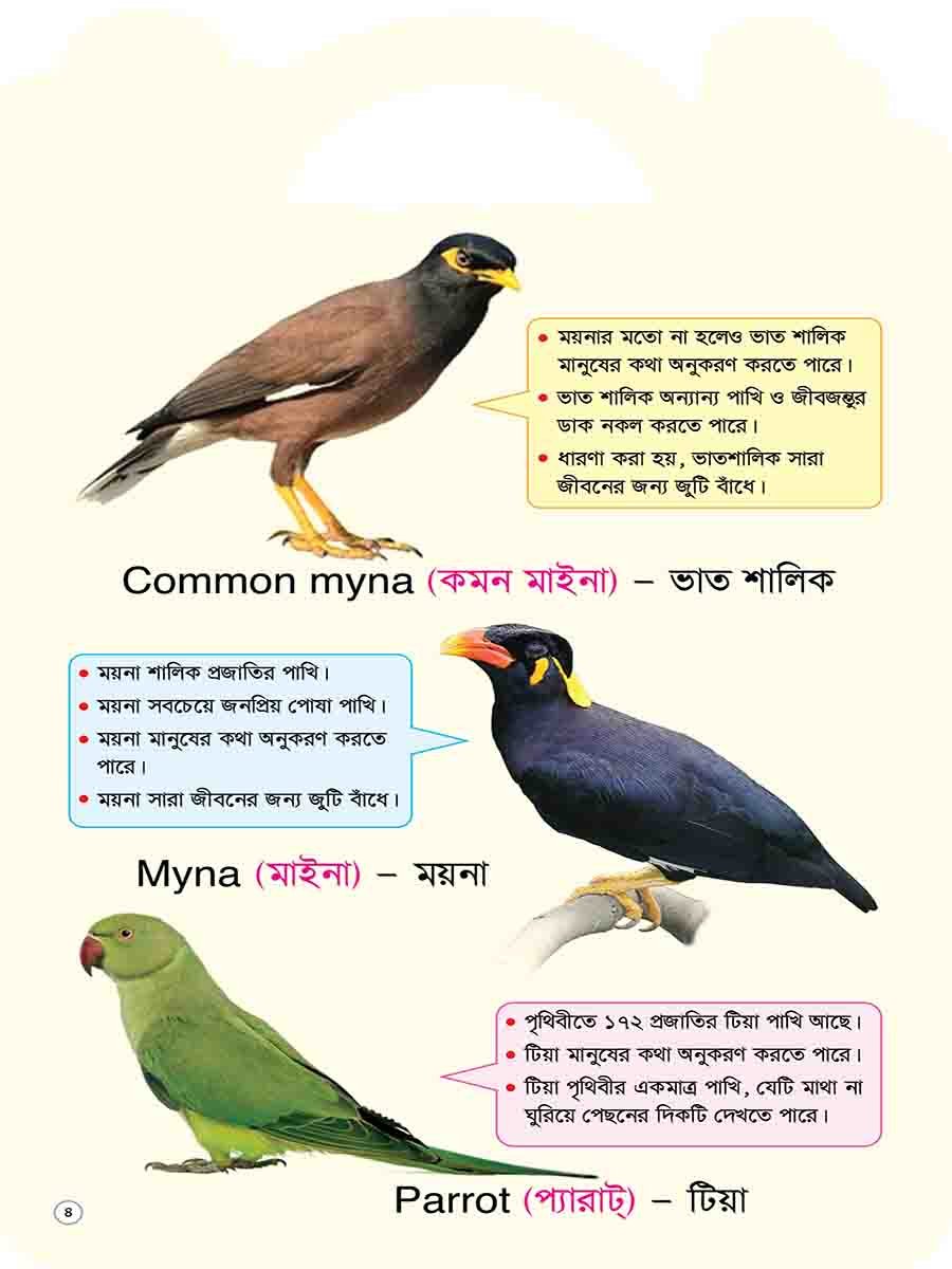 Picture Word Book Series preview 4