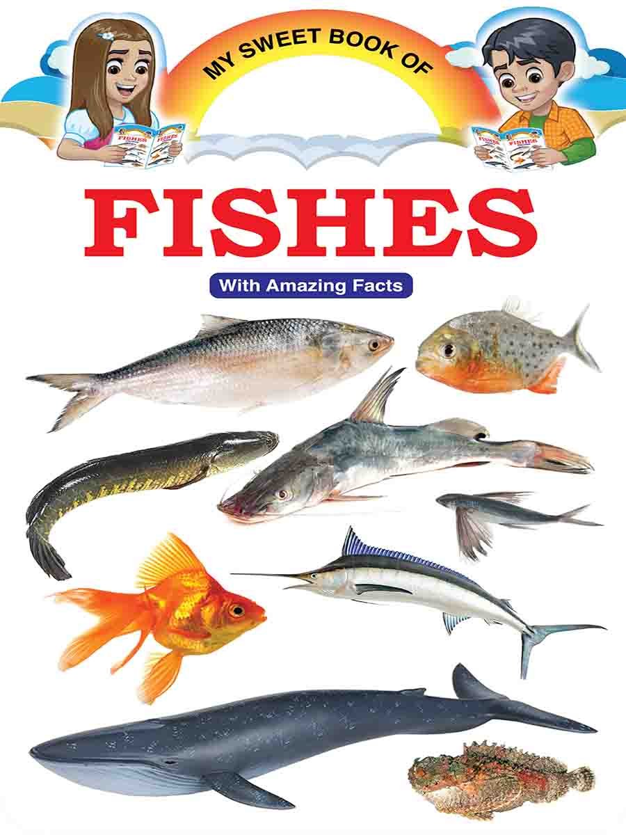 Picture Word Book Series preview 5