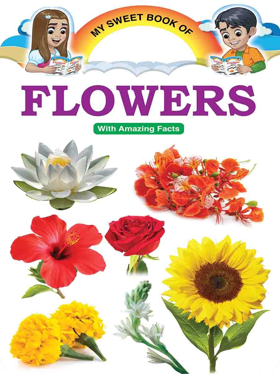 Picture Word Book Series preview 7