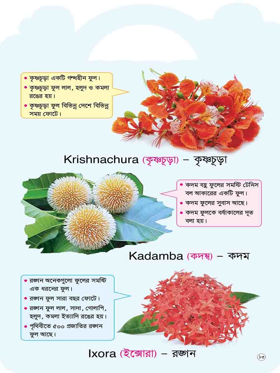 Picture Word Book Series preview 8