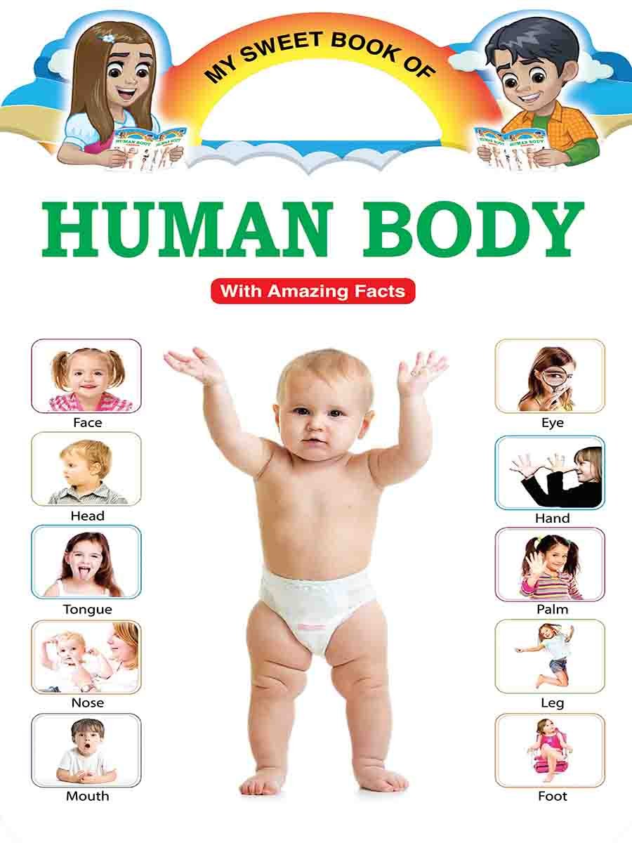 Picture Word Book Series preview 11