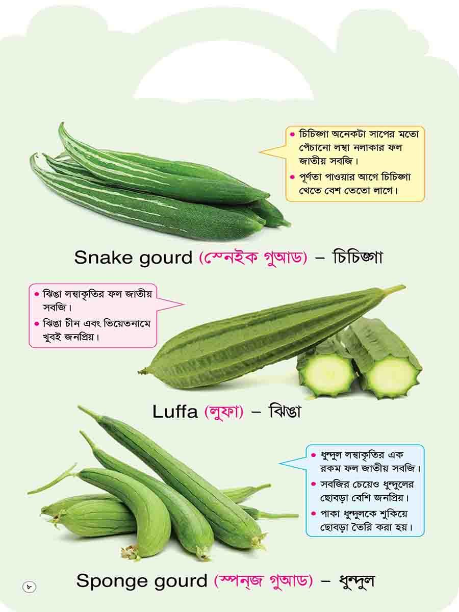 Picture Word Book Series preview 16