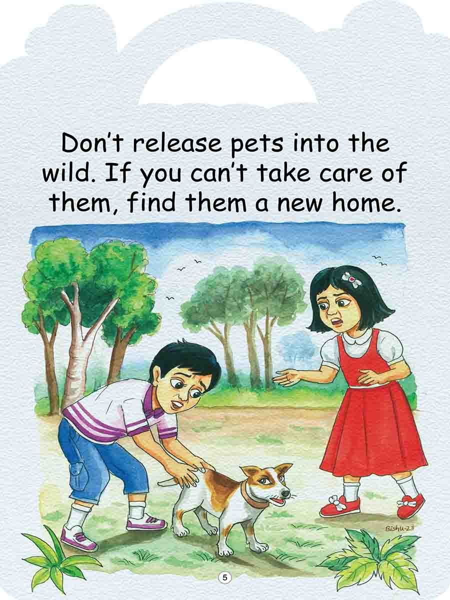 Environment Series preview 14