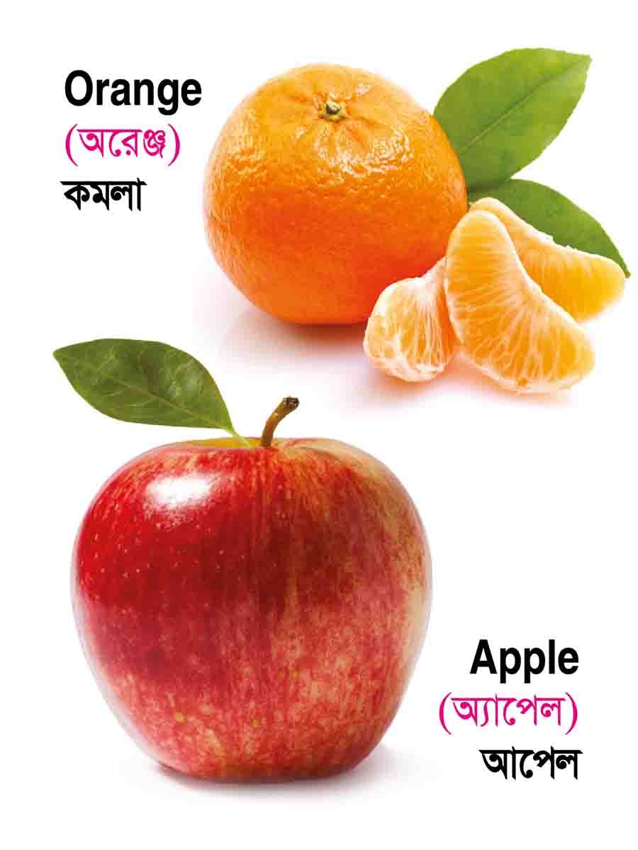 ৪৮টি বইয়ের জ্ঞানবাক্স preview 22