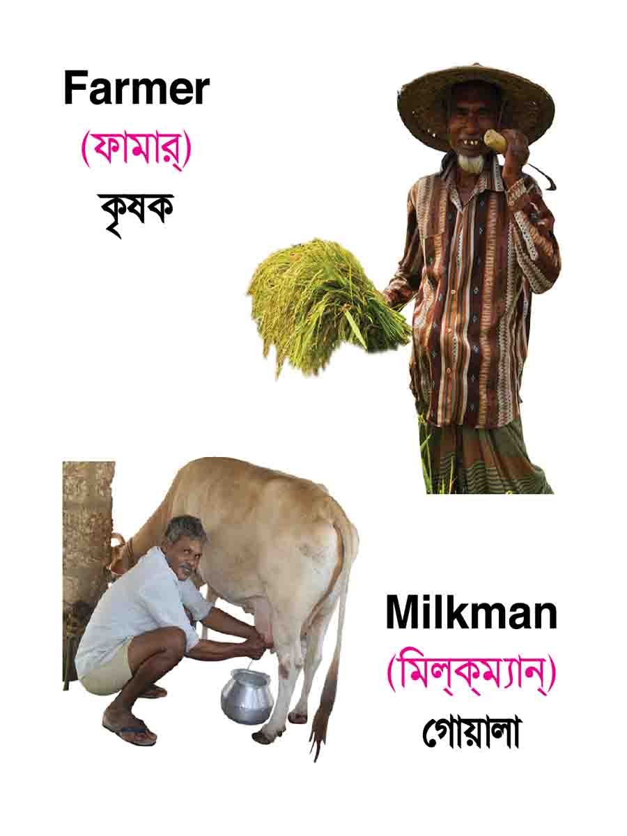 ৪৮টি বইয়ের জ্ঞানবাক্স preview 54