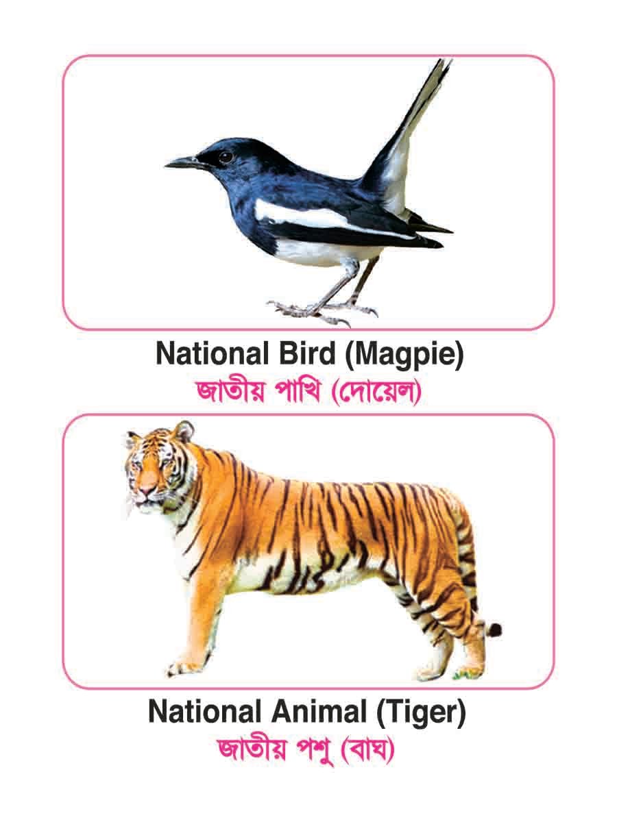 ৪৮টি বইয়ের জ্ঞানবাক্স preview 82