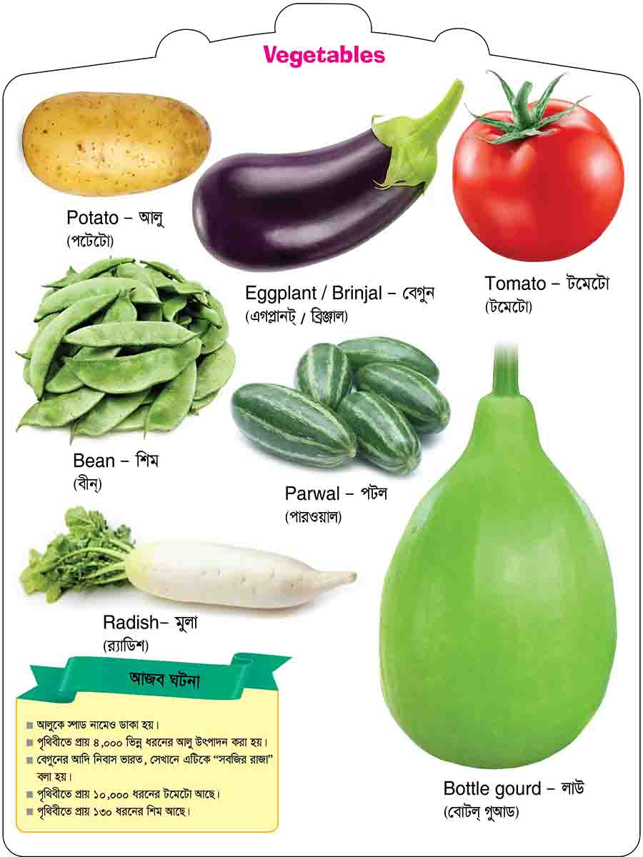 Vegetables preview 2