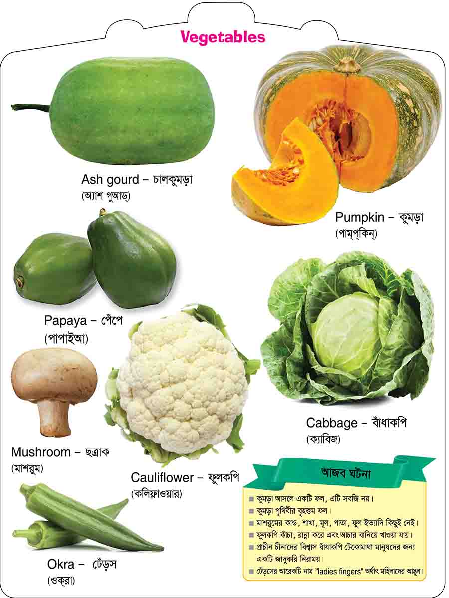 Vegetables preview 3