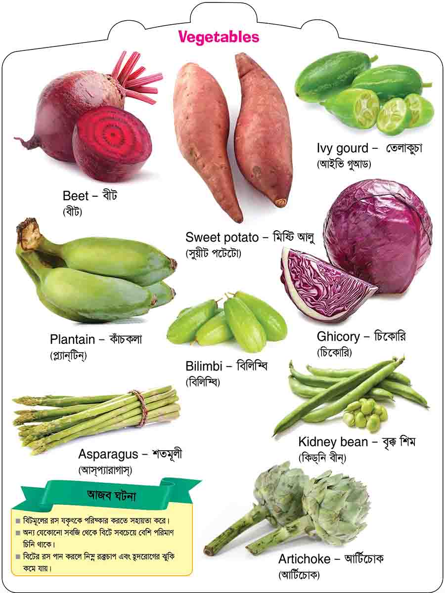 Vegetables preview 4