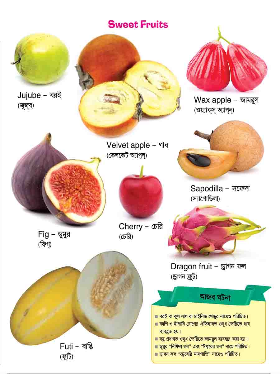Fruits preview 2