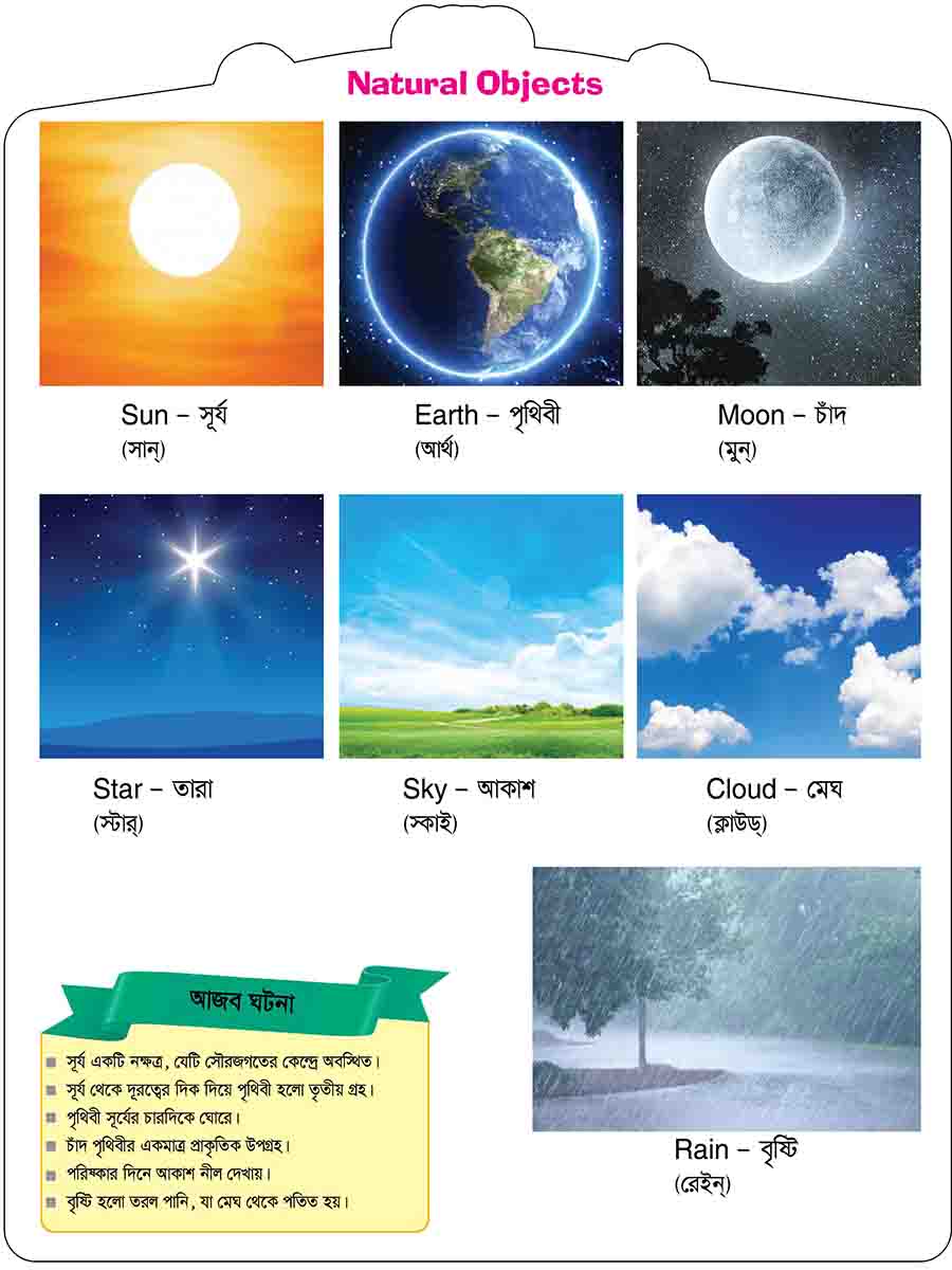 Natural Objects preview 2