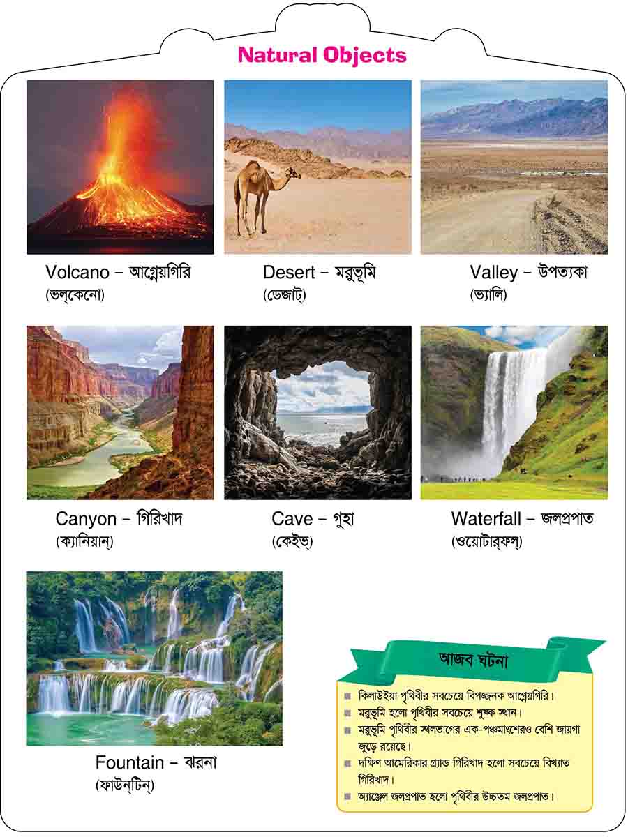 Natural Objects preview 3