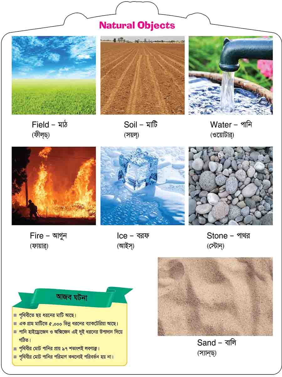 Natural Objects preview 4