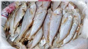 ফেউয়া শুটকি ৫০ গ্রাম ৭০ টাকা 