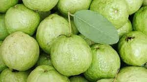 পেয়ারা ৮০ টাকা কেজি । 